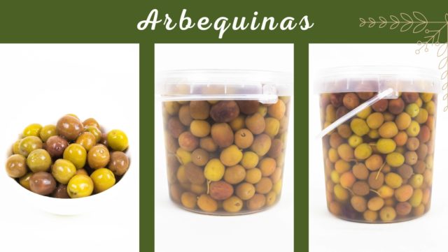 Arbequinas u olivas de Cataluña